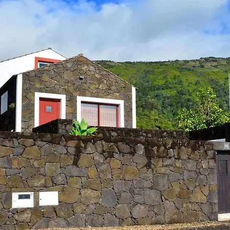 Casa Da Antiga Vinha - Trees, Vineyards And Sea