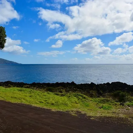 Casa Da Antiga Vinha - Trees, Vineyards And Sea Almas (Ilha do Pico)