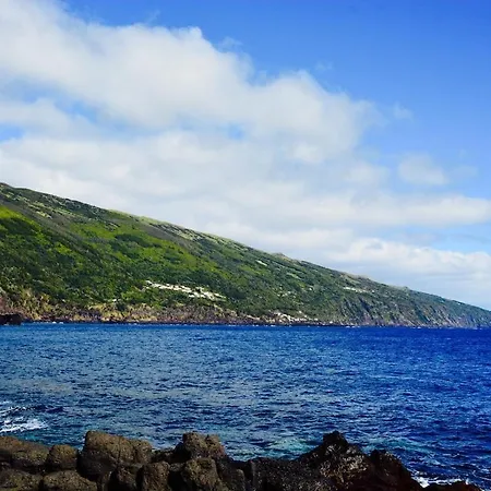 Casa Da Antiga Vinha - Trees, Vineyards And Sea Dom wakacyjny