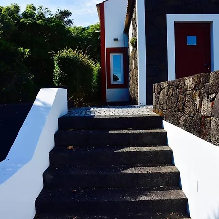Casa Da Antiga Vinha - Trees, Vineyards And Sea Dom wakacyjny Almas (Ilha do Pico)