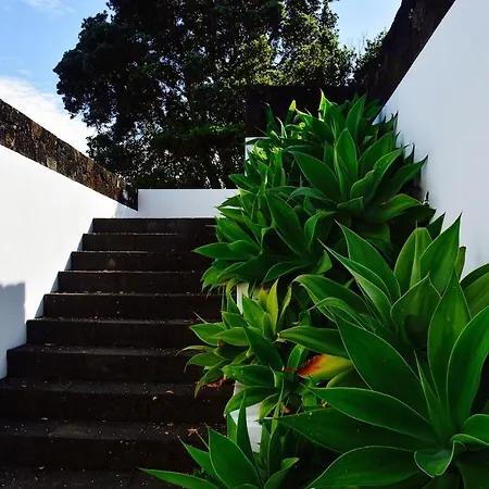 Casa Da Antiga Vinha - Trees, Vineyards And Sea Almas (Ilha do Pico)