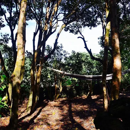 Casa Da Antiga Vinha - Trees, Vineyards And Sea Dom wakacyjny Almas (Ilha do Pico)