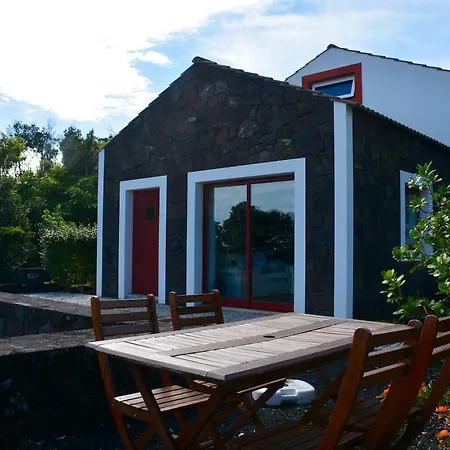 Casa Da Antiga Vinha - Trees, Vineyards And Sea Dom wakacyjny