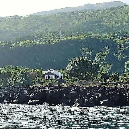 Casa Da Antiga Vinha - Trees, Vineyards And Sea Dom wakacyjny